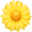 🌼